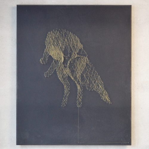 fadenkunst, stringart